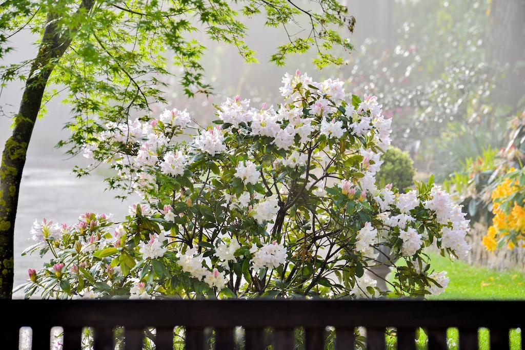 Charmilles Des Cordeliers Bed & Breakfast Paris Exterior photo
